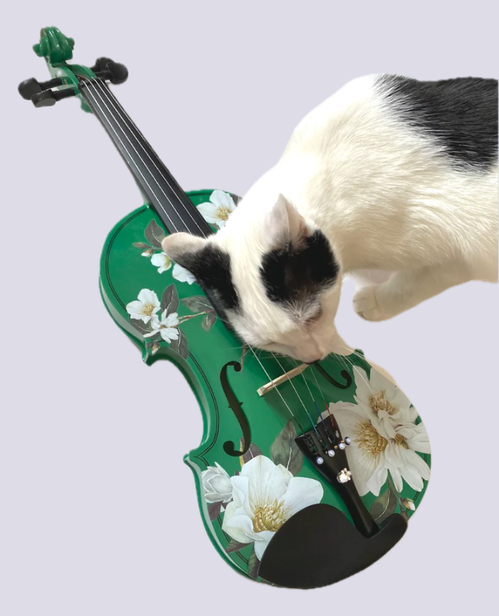 Butterfly Dream Bejeweled Violin Outfit